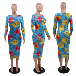 Flora Long Sleeve Dress